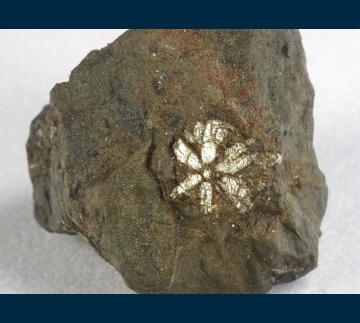 JSI-02 Muscovite (pseudo Cordierite) from Kameoka City, Kyoto Prefecture, Kinki Region, Honshu Island, Japan