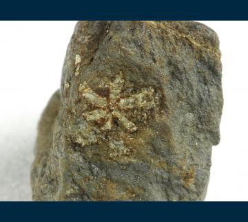 JSI-03 Muscovite (pseudo Cordierite) from Kameoka City, Kyoto Prefecture, Kinki Region, Honshu Island, Japan