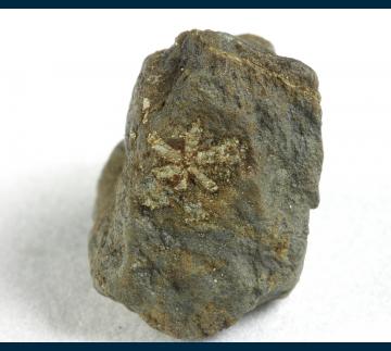 JSI-03 Muscovite (pseudo Cordierite) from Kameoka City, Kyoto Prefecture, Kinki Region, Honshu Island, Japan