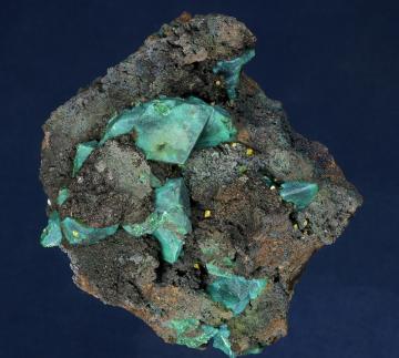 JC262 Chrysocolla ( pseudo Azurite ) with Wulfenite from Whim Creek, Pilbara Region, Western Australia, Australia