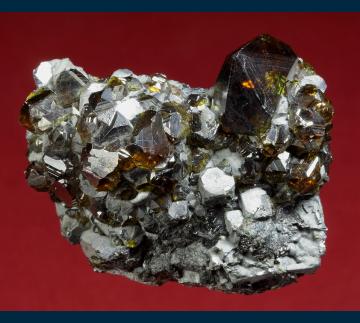 GR143 Sphalerite ( var. Cleophane ) on Galena from Deveti Septemvri (9th of September) mine, Madan ore field, Rhodope Mts, Smolyan Oblast, Bulgaria