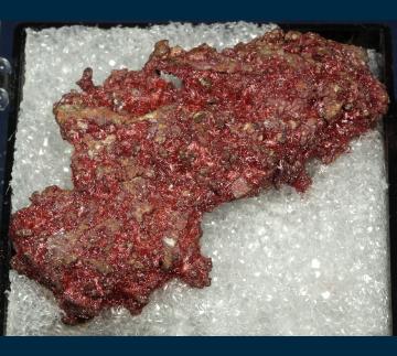 RG0827 Cuprite ( var. Chalcotrichite ) from Ray Mine, Ray District, near Kearney, Dripping Springs Mts., Pinal County, Arizona, USA