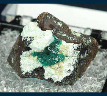 TN141 Dioptase on Chrysocolla from Ray Mine, Ray District, near Kearney, Dripping Springs Mts., Pinal County, Arizona, USA