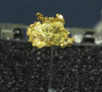 TN156 Gold from Grass Valley, Nevada Co., California, USA