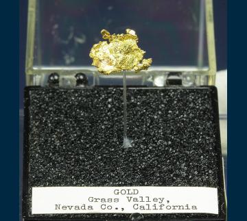 TN156 Gold from Grass Valley, Nevada Co., California, USA