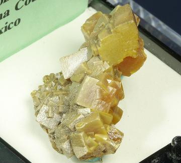 TN162 Wulfenite from Stevenson-Bennett Mine, Organ District, Organ Mts., Dona Ana County, New Mexico, USA