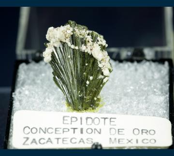 TN204 Epidote  from Concepcion del Oro, Zacatecas, Mexico