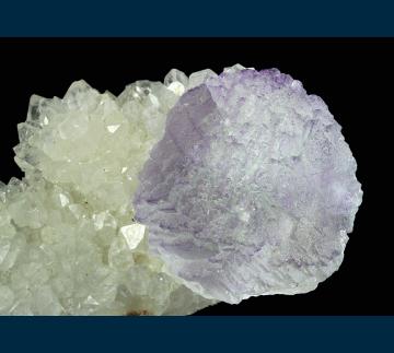 F312 Fluorite on Quartz from Mex-Tex Mine, Hansonburg District, Bingham, Socorro County, New Mexico, USA