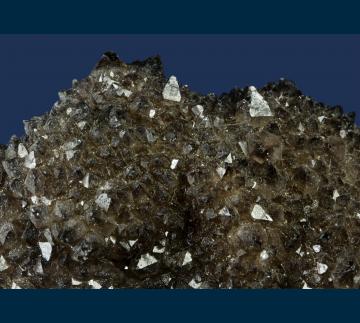 Q282 Quartz ( var. Smoky ) from Diamond Dave Claim, Chupadera District, Socorro Co., New Mexico, USA