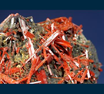 CMS214 Crocoite from Adelaide Mine, Dundas mineral field, Zeehan District, Tasmania, Australia