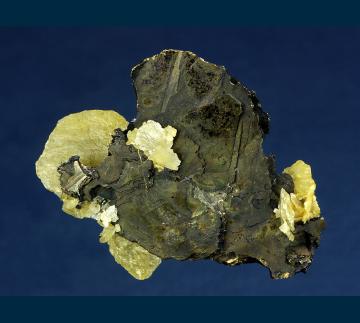 RG0377 Siderite with Pyrrhotite  from Morro Velho Mine, Nova Lima, Minas Gerais, Brazil