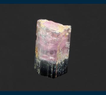 TN274 Elbaite tourmaline (4 crystals) from Tourmaline Queen Mine, Queen Mountain, Pala, Pala District, San Diego County, California, USA