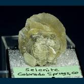 Gypsum (v. Selenite)