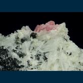 Tetrahedrite and Rhodochrosite on Quartz