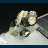 Phlogopite on Calcite  (W. Perkin mount)