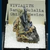 Vivianite with Siderite and Pyrite