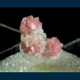 Rhodochrosite on Quartz