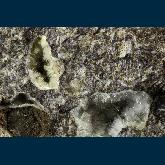 Natrolite and Analcime in basalt