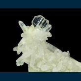 Quartz (japan-law twin)