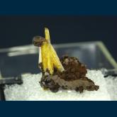 Legrandite