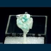 Bronchantite