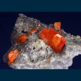 RC02 Wulfenite from Red Cloud Mine, Silver District, Trigo Mts., La Paz County, Arizona, USA