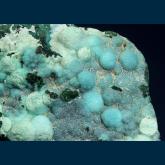 Gem Chrysocolla with Malachite and Tenorite