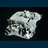 Joaquinite, Neptunite, Benitoite