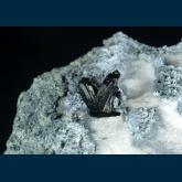 Neptunite on Natrolite