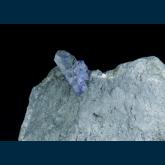 Benitoite