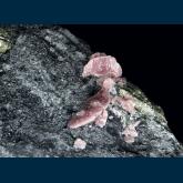 Rhodochrosite and Fluorite on Quartz