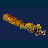 Goethite stalactite