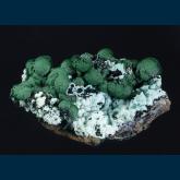 Malachite on Chrysocolla