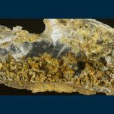 Copper in Gypsum