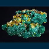 Dioptase with Mimetite