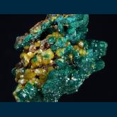 DDRC1 Dioptase with Mimetite from Mindouli District, Pool Dept., Republic of Congo