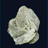 Quartz ( pseudomorph of Gypsum )