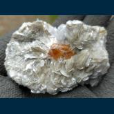 Scheelite on Muscovite