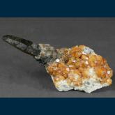 Quartz ( var. Smoky ) with Spessartine