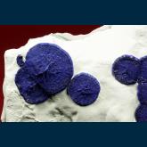 Azurite