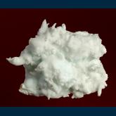 Aragonite ( var. Flos Ferri )
