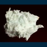 Aragonite ( var. Flos Ferri )