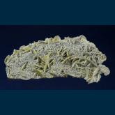 Barite