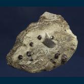 Staurolite with Almandine garnet in Schist