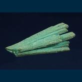 Chrysocolla ( pseudo Gypsum? )