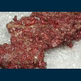 Cuprite ( var. Chalcotrichite )