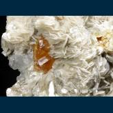 Scheelite on Muscovite