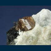 Zircon with Biotite on Nepheline