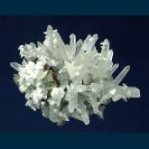 Quartz with Arsenopyrite and Calcite