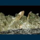 Brookite on Adularia and Quartz